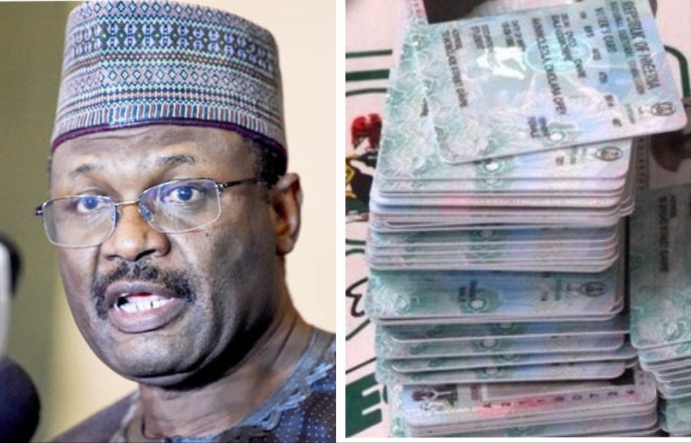 HURIWA to INEC: Fish Out, Arrest, Prosecute Staff Who Dumped Uncollected PVCs In Anambra Forest