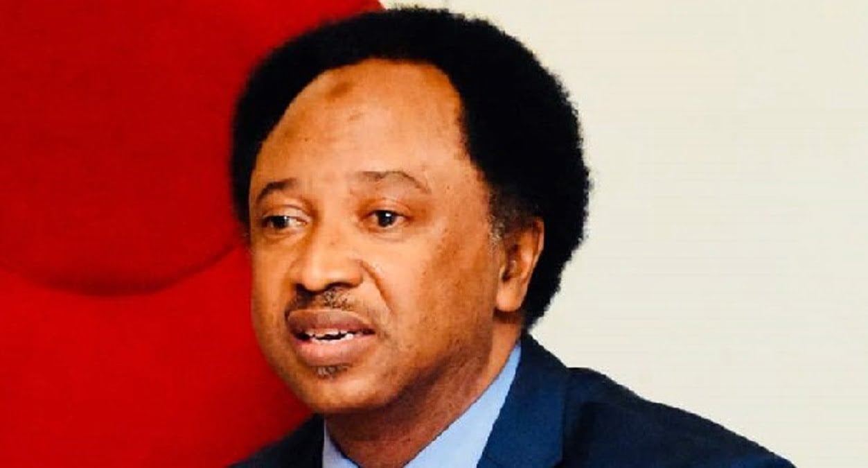 Yobe North Senatorial Tussle: Shehu Sani Reacts as Supreme Court voids Machina’s APC Ticket