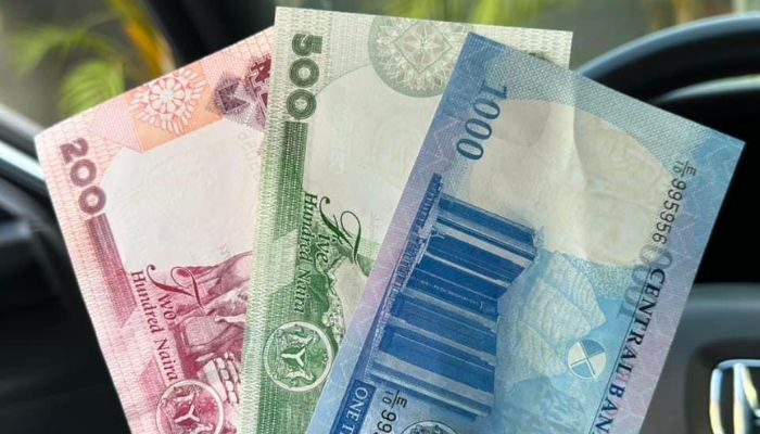 Council of State Backs Naira Redesign Policy