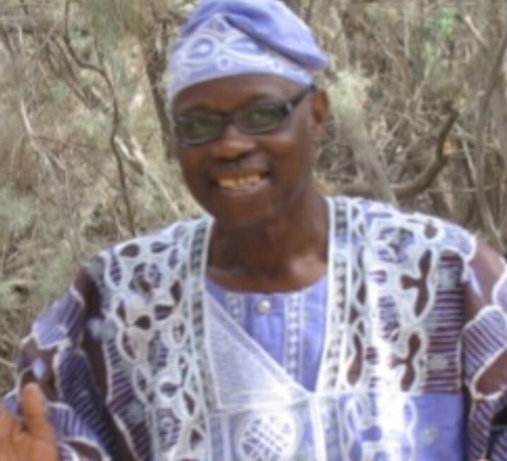 Ajibola’s death, a loss to the entire world –Amb Sarafa Isola