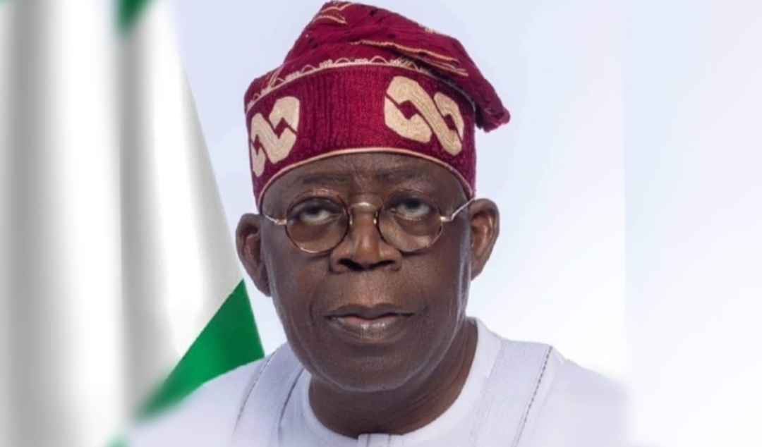 Northern Leaders Urge Tinubu to Remove Bandits From Forest