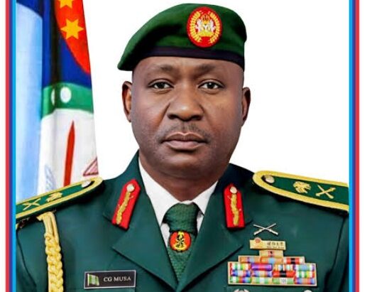 Profile of an Achiever: General C. G Musa 150 Days of Walking-the-talk in the Nation's Security Architecture