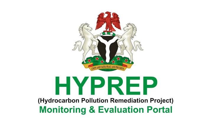 Why Tinubu sacked HYPREP Boss Barely 48 Hours of Appointment