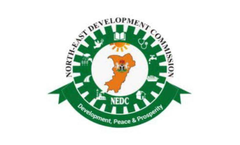 North-East Group Alleges Nepotism, Calls on Tinubu to Probe NEDC